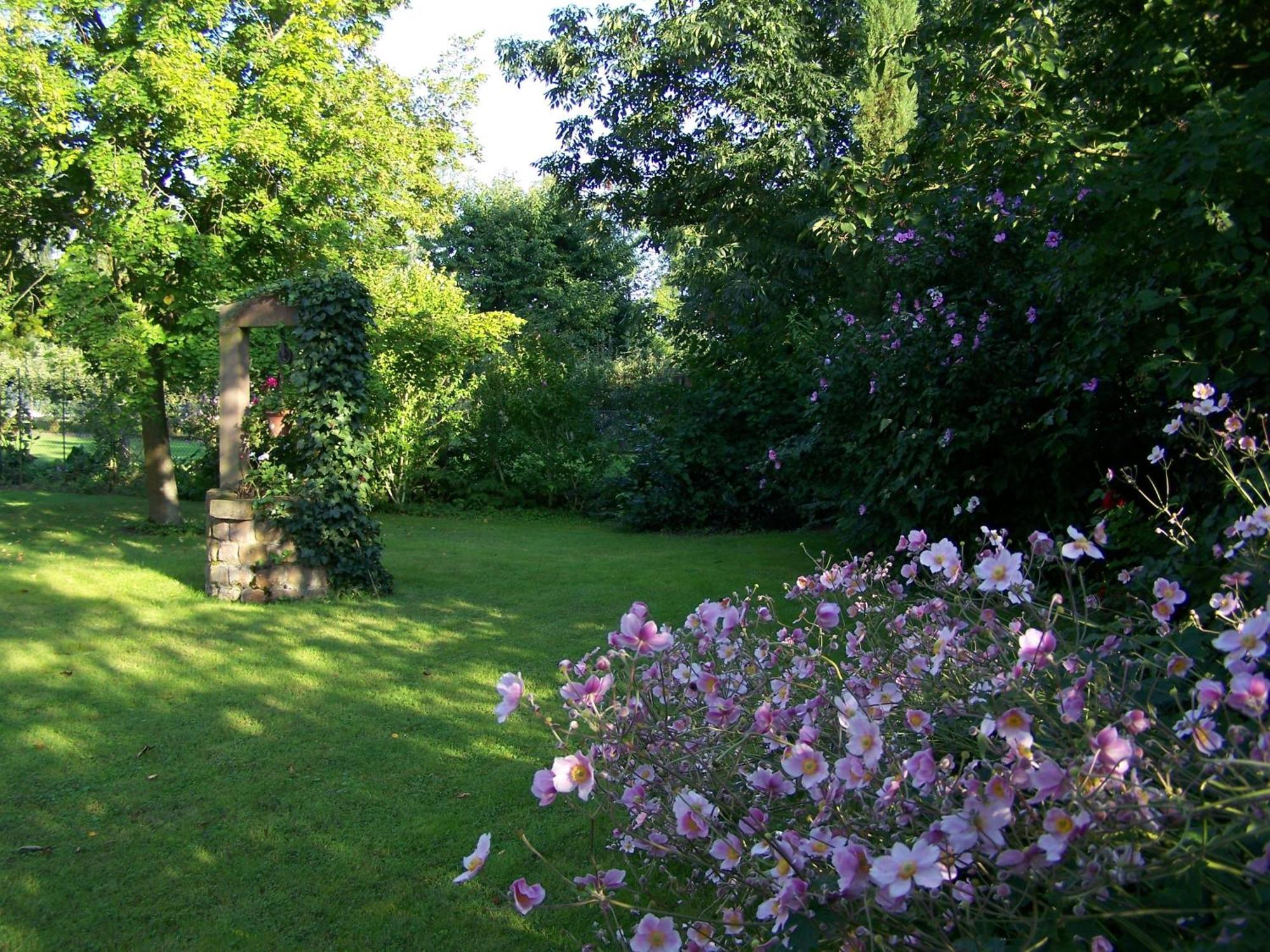 Badische Landoase Aparthotel Kehl Exterior photo